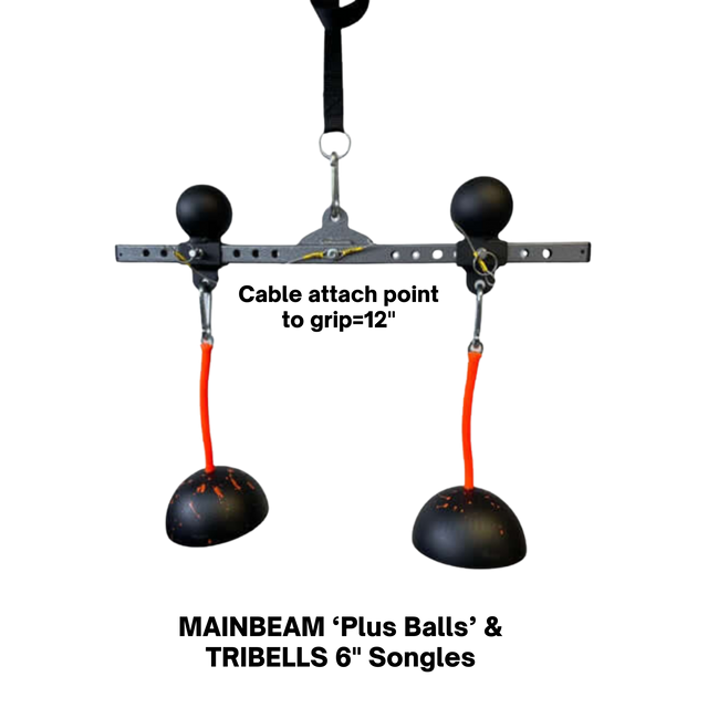 Two black weights with red cords hang from a PULL FORCE 'MAINBEAM' Modular Cable Attachment, featuring adjustable holes and two black knobs on top.