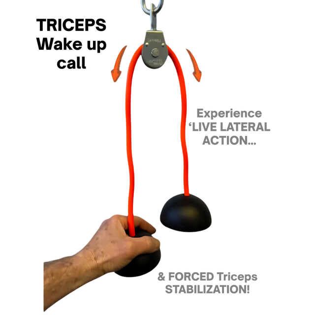Hand holding TRIBELLS 'Double Live' Cable Tricep Attachment Grip Domes with two orange bands, black grips—highlights triceps stabilization benefits, ideal for Tricep Workouts or Triceps Press Downs.