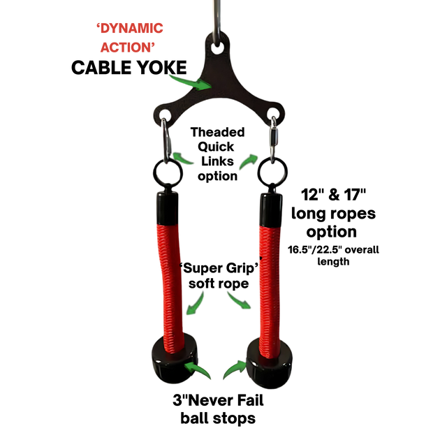 The Tricep Rope Dynamic TRD Cable Attachments for Gym Yoke feature two red flexible stirrups hanging from a metal bracket with green arrows and “DYNAMIC ACTION,” highlighting instability and greater muscle activation in workouts.