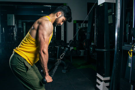 High Performance Cable Gym Accessories