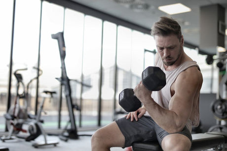 Gym Equipment for Targeted Muscle Growth
