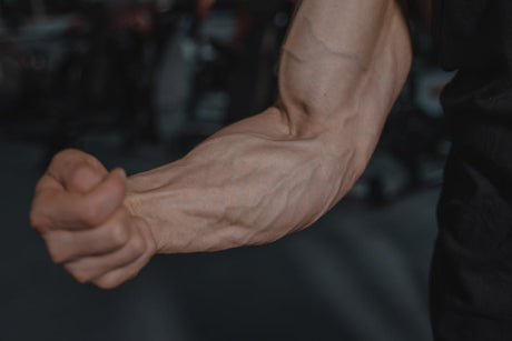 Forearm Roller: the Ultimate Tool for Devastating Grip and Forearm Strength