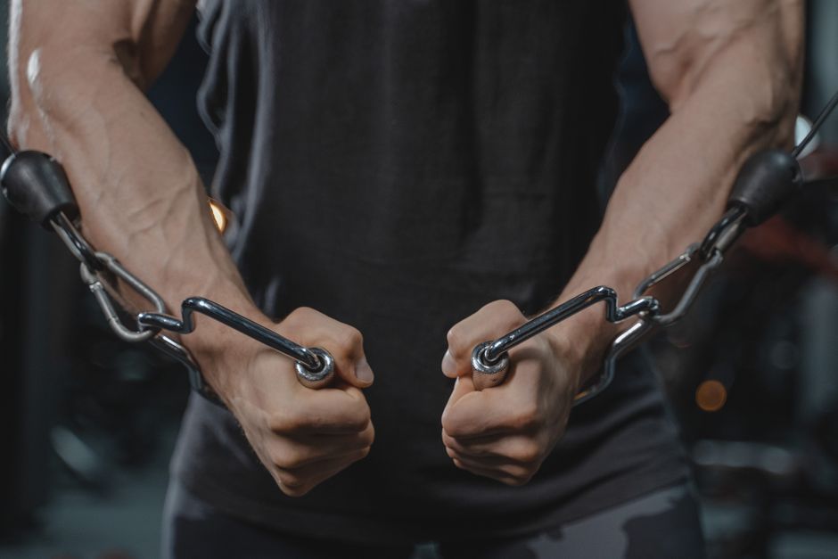 Tricep Rope Attachment: the 2026 Lifter's Guide