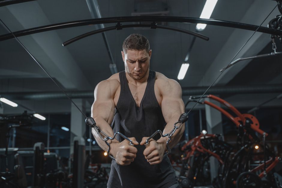 Elite Fitness Equipment for Strength Training
