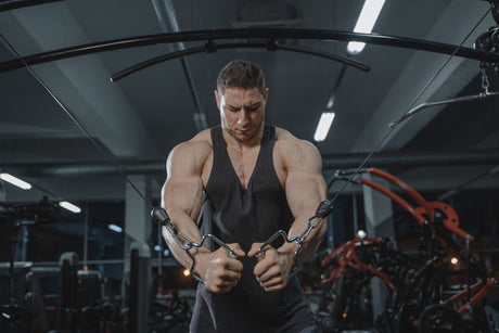 Elite Fitness Equipment for Strength Training