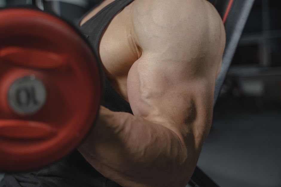 Bodybuilding Training Equipment for 2026