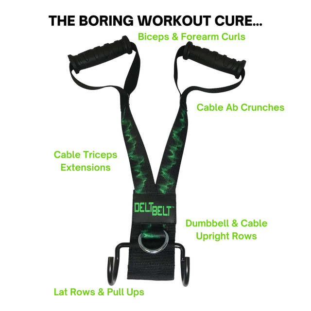 DELT-BELT Handle Straps for Cable Machine Upright Rows plus!