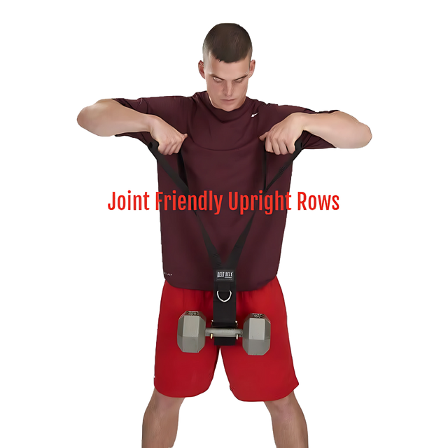 DELT-BELT Handle Straps for Cable Machine Upright Rows plus!