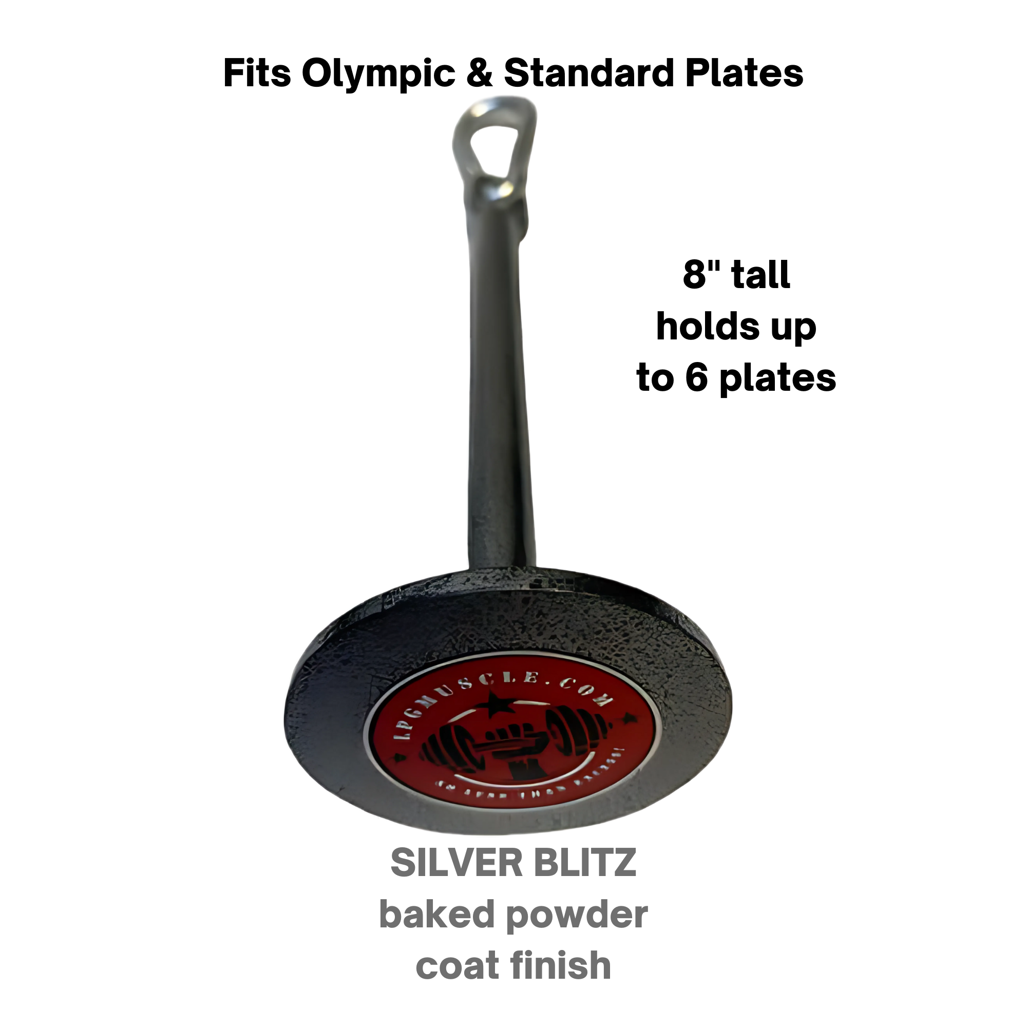 The E-Z DIP Belt with Chain features a dumbbell hook and universal plate holder—ideal for quick weight changes and easy loading, finished with a durable SILVER BLITZ baked powder coat.