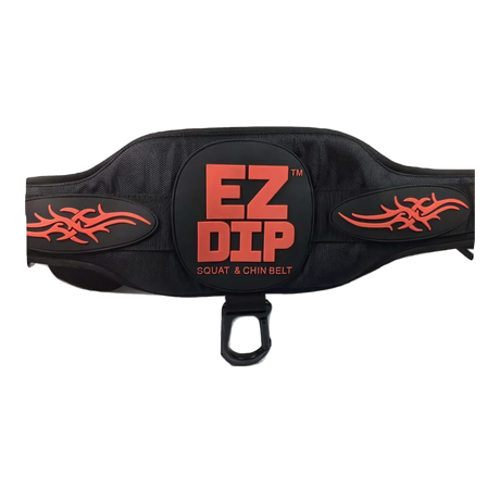 E-Z DIP Belt with Chain, Dumbbell Hook and Universal Plate Holder