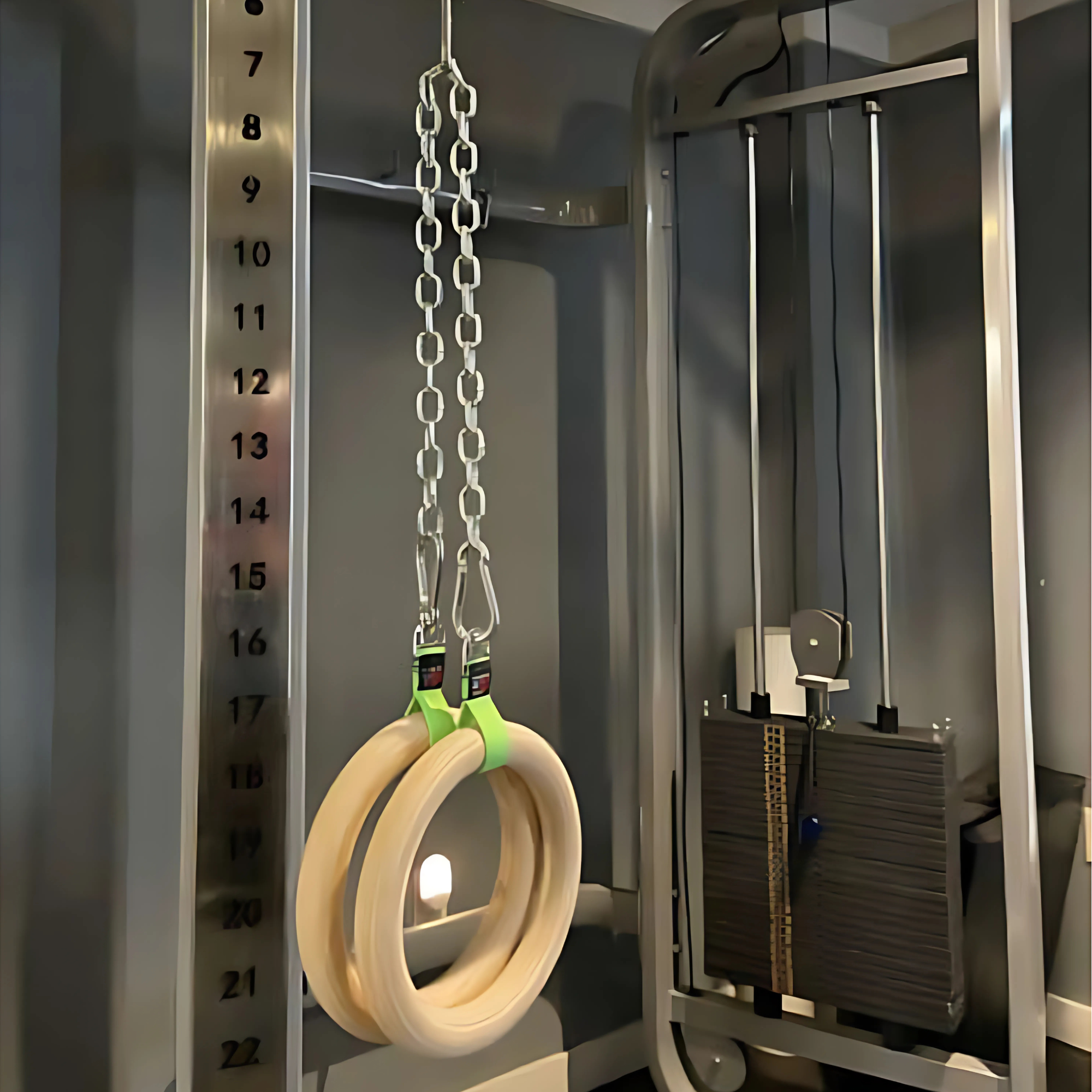 Gymnastic Rings Cable Machine Handles for Roman Ring Workout hang from metal chains in a gym, next to cable machine handles and a visible height scale.