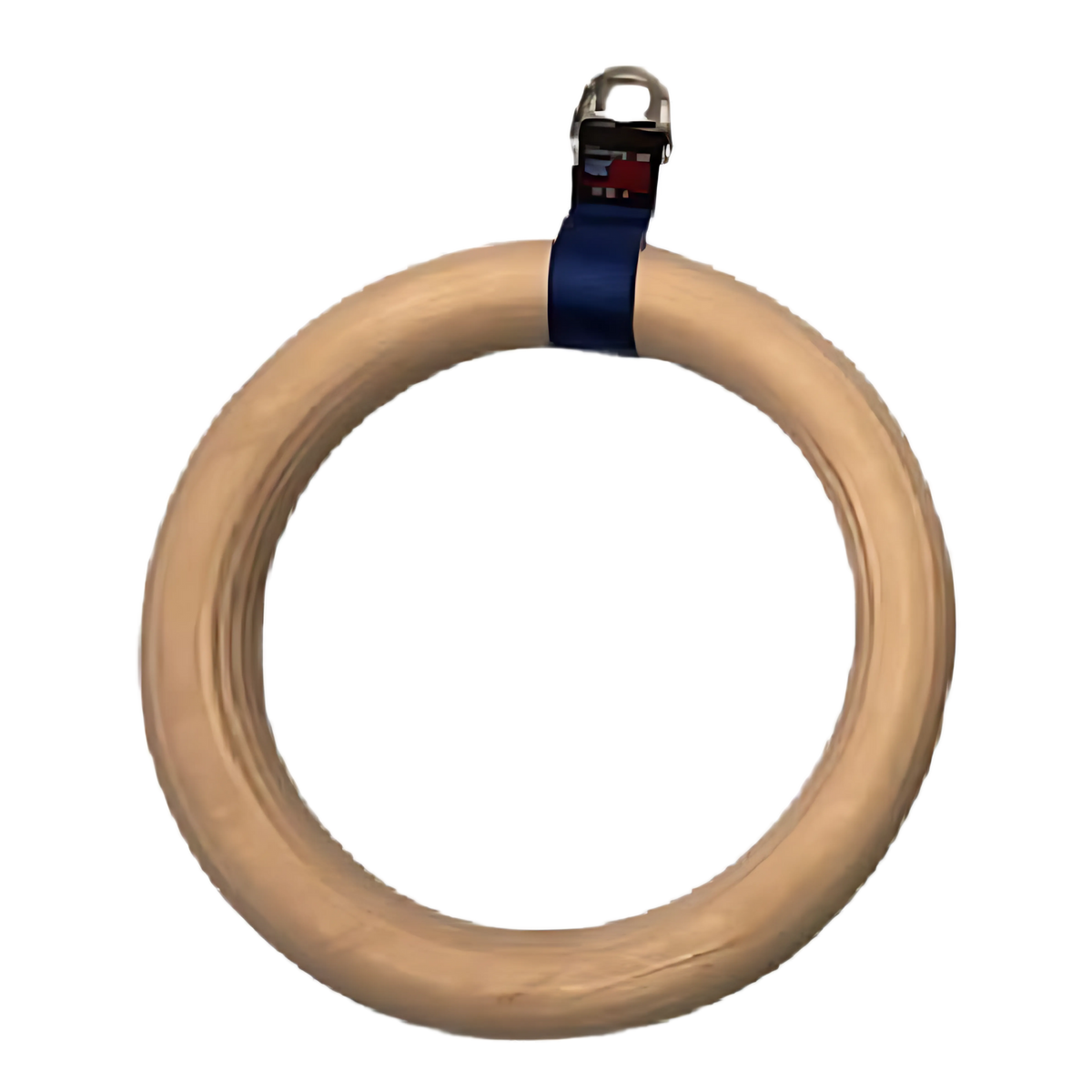 Single Gymnastic Ring Cable Machine Handle for Gymnastics Rings Workou ...