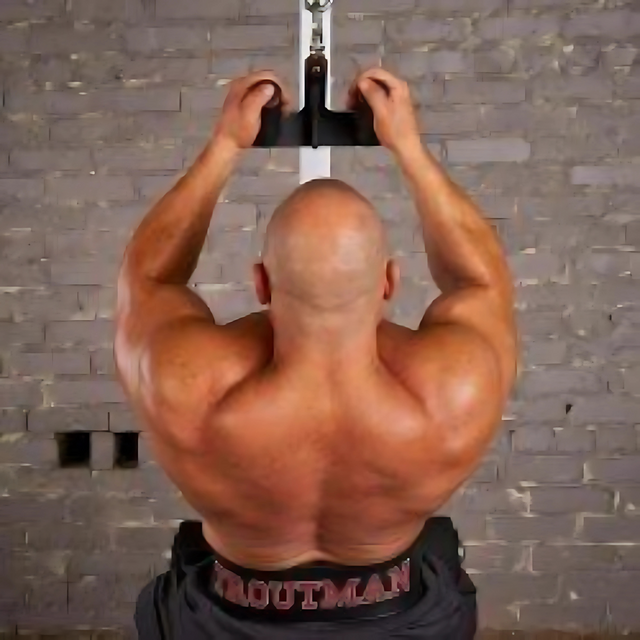 HOG LEGS 'Back Pac' LEGIT Cable Machine Attachments Set