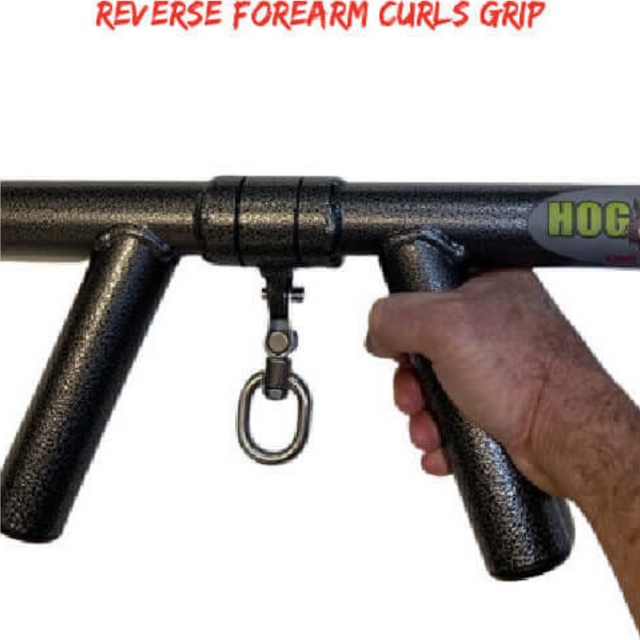 Using the HOG LEGS 'Boar Tusk' Fat Grip Curling Bar, a person can grip the bar with two handles for reverse forearm curls that effectively target both biceps and forearms.