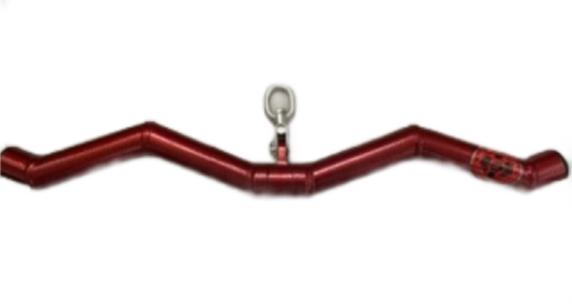 HOG LEGS Subprimal  EZ Curl Bar / Triceps Workout Bar