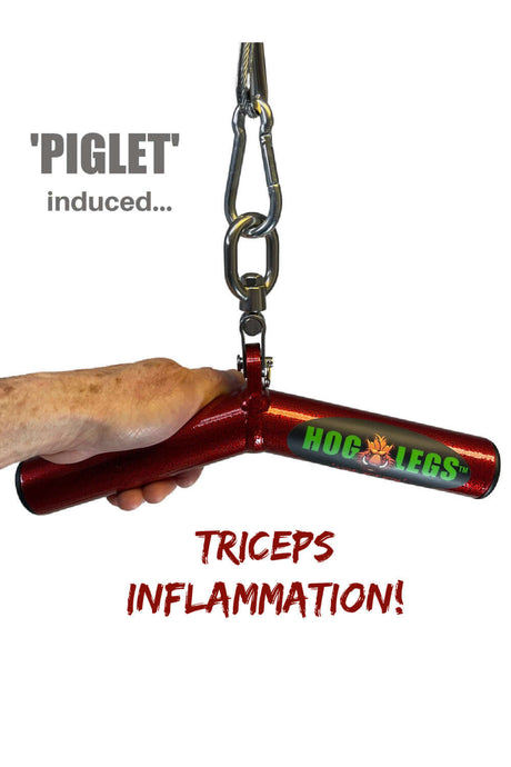 HOG LEGS Wicked 'Piglet' Tricep Bar Workout gone FAT!