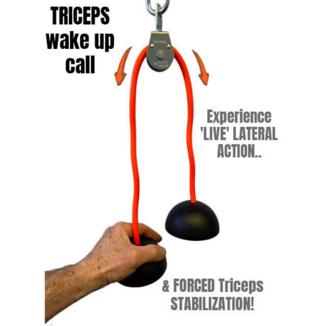 Hand holding TRIBELLS 'Double Live' Cable Attachment Grip Domes connected to a pulley system for efficient triceps extension workouts.