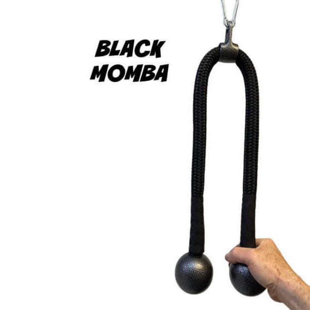 A hand holds commercial-grade black weighted ropes with metal balls, labeled "Extreme Performance Viper," perfect for an intense triceps workout.