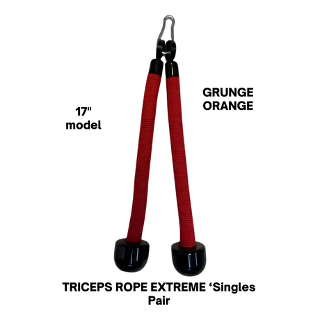 TRICEPS ROPE EXTREME 'Singles' Triceps Cable Workouts ropes