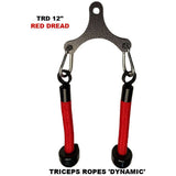 'Dynamic Action' Triceps Workout Yoke!