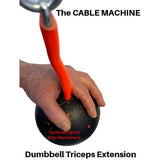 Dumbbell Tricep Extension alternative TRIBELLS