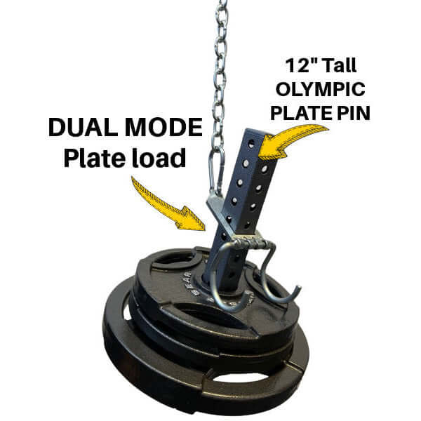 DUAL MODE Weight Plate Pin & Dumbbell Hook