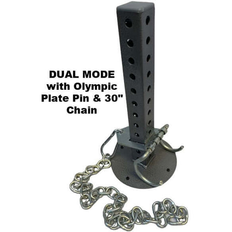 Dual Mode set up complete with Chain