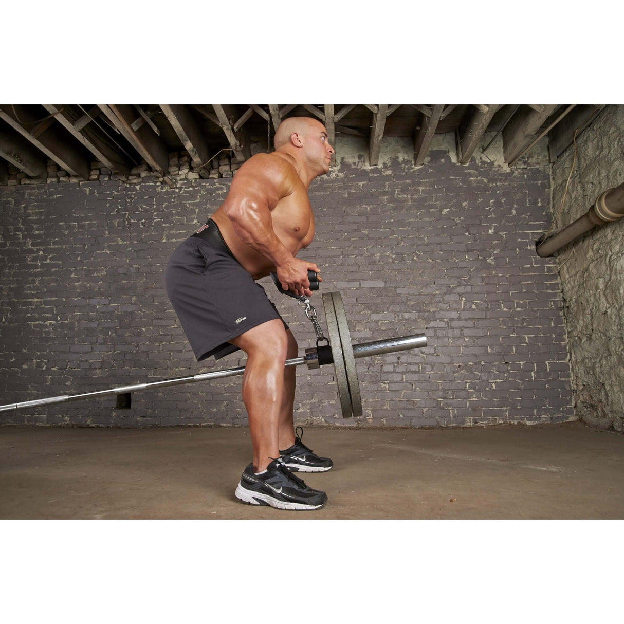 HOG LEGS 'Multi-Row' in T-Bar Row, Cable Back Workouts mode