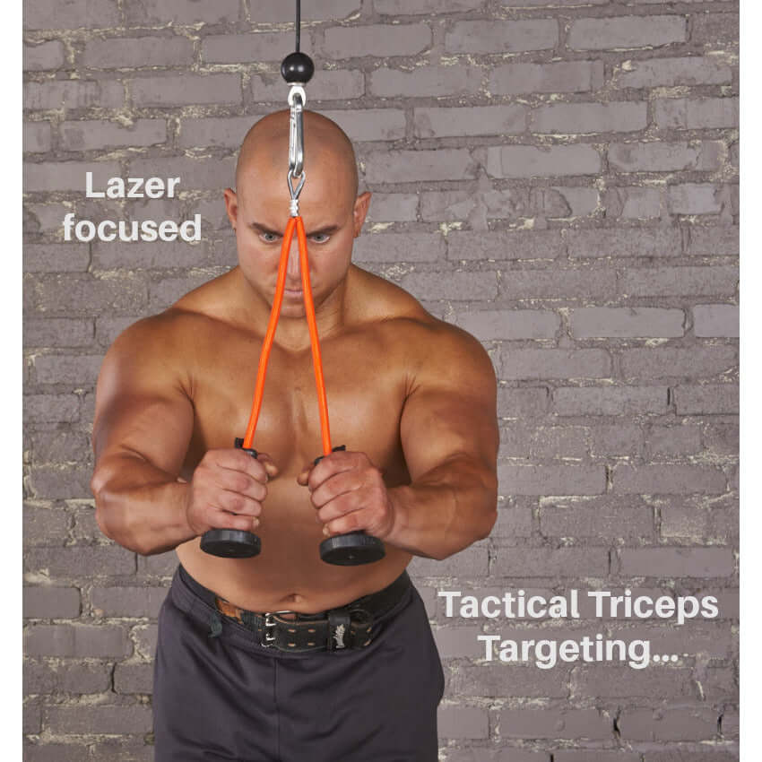 Best Exercises for Triceps Long Head TACTI-TRICEPS